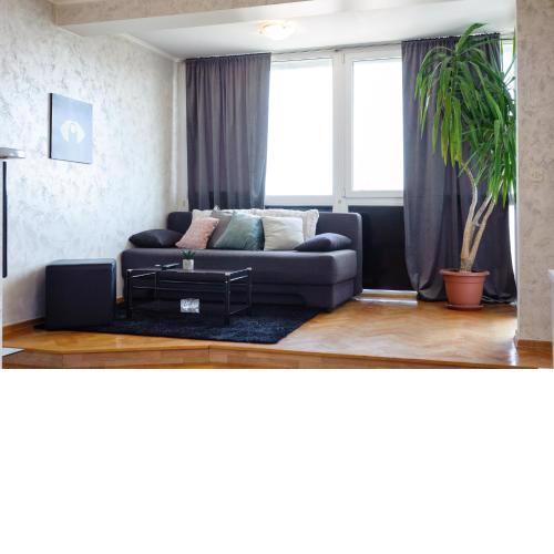 Adriatic Summer Apartment