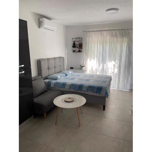 Alania Studio