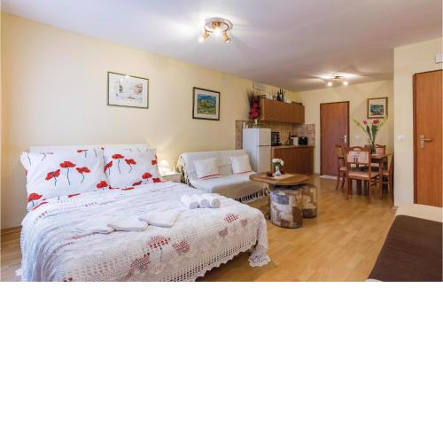 Amazing apartment in Rovinj with WiFi