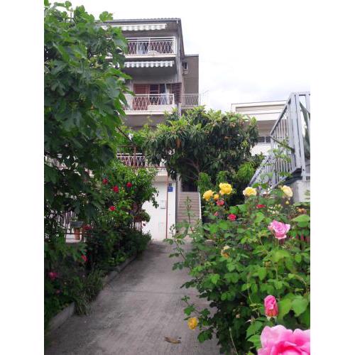 Apartman Adriatic Pavlinovic - Makarska