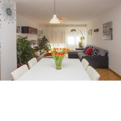 Apartman Ariana