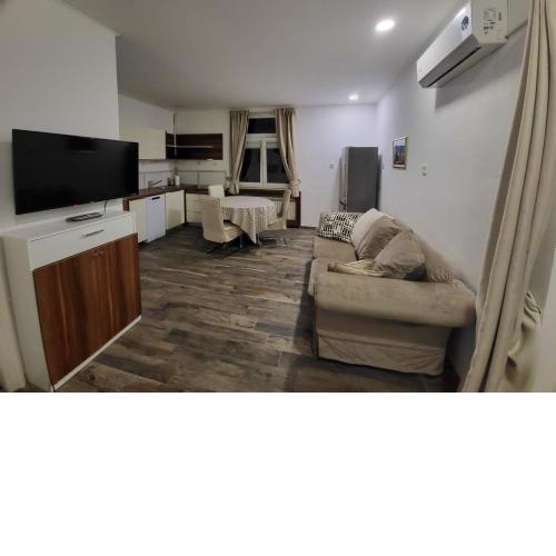 Apartman Bužanova1