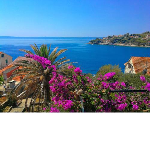 Apartman Damir