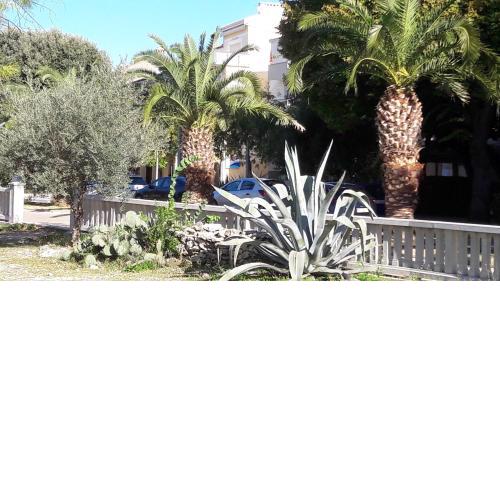 Apartman Davor