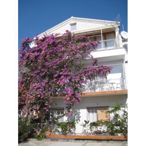 Apartman Graciela Perfect location Gradac