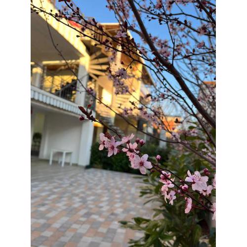 Apartman Ivana