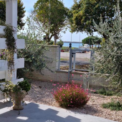 Apartman Magnolija Umag