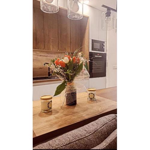 Apartman Mihe