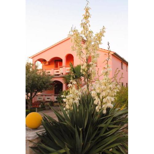 Apartman Patricia