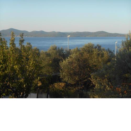 APARTMANI ANKICA