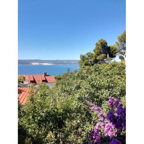Apartmani Tamara