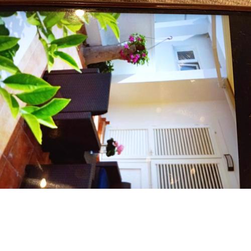 Apartmani Trubi