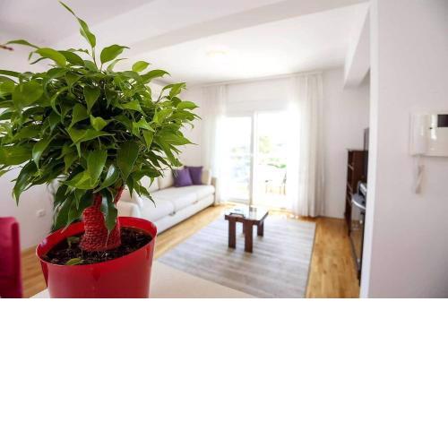 Apartmen Toni