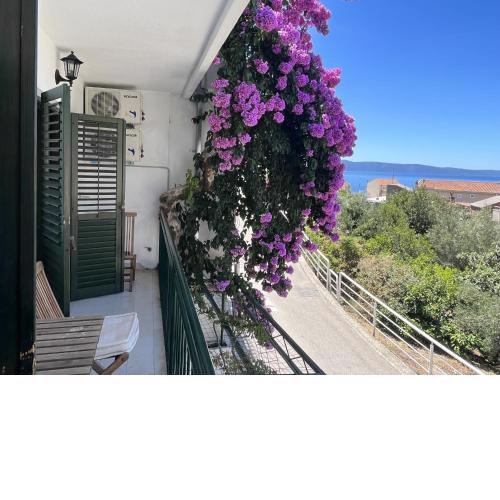 Apartment Ana