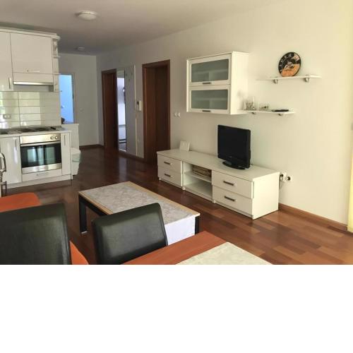 Apartment BIOKOVO