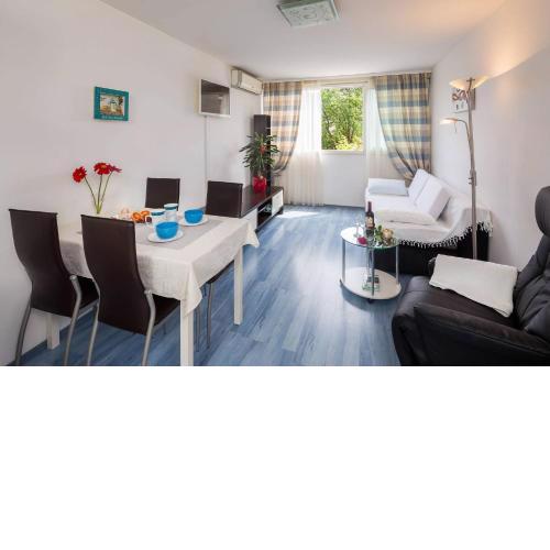 Apartment Dragica 1- cozy flat