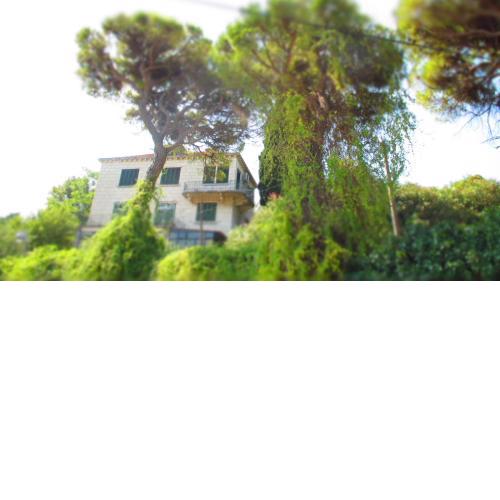 Apartment Dubrovnik Surprise