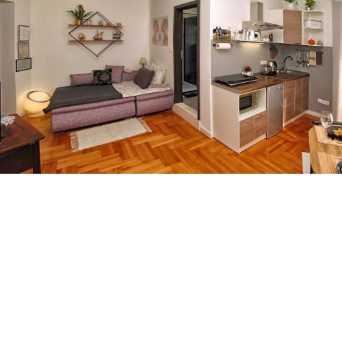 apartment Frane