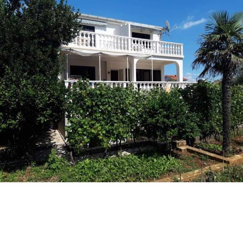 Apartment in Novalja with sea view, terrace, WiFi 3572-1