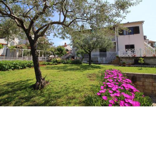 Apartment in Porec/Istrien 10030