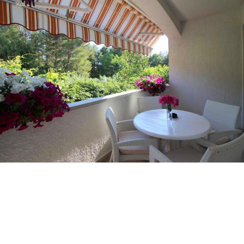Apartment in Porec/Istrien 40339
