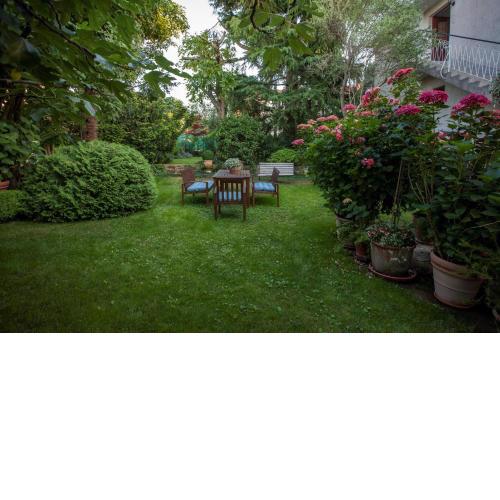 Apartment in Rovinj/Istrien 11481