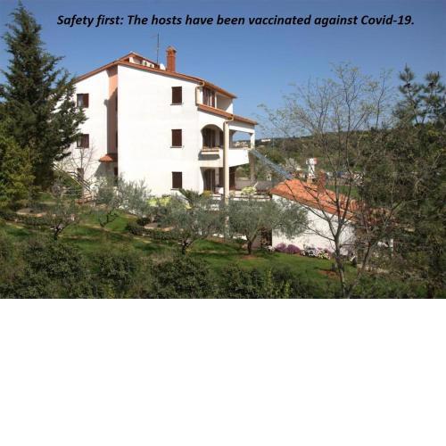 Apartment Iva