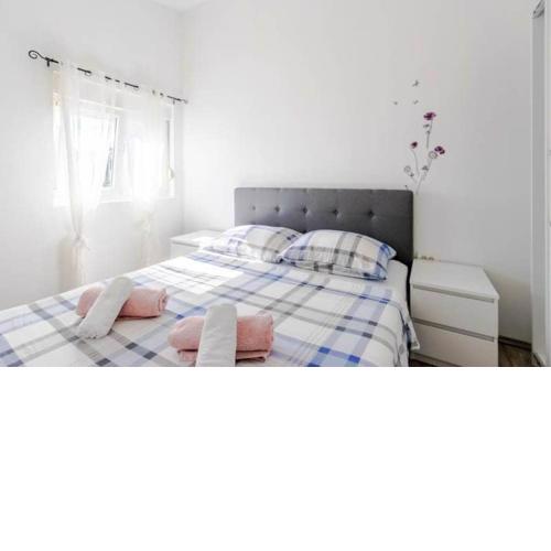 Apartment Iva