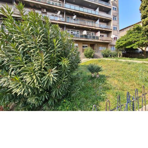 Apartment Jadran 2151