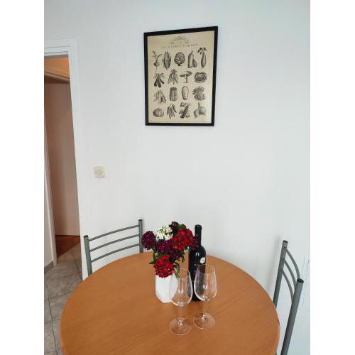 Apartment LENKA -Split ,great location