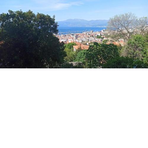 Apartment Martina - modern with view