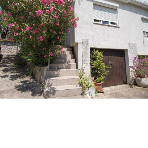 Apartment Miroslav B