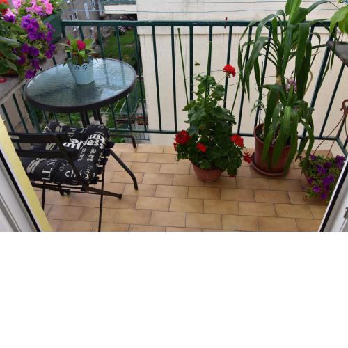 Apartment Morena