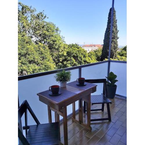Apartment Oasis - close to beach & center