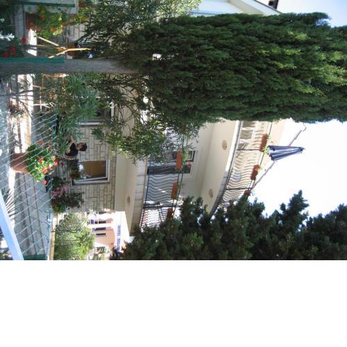 Apartment Petar