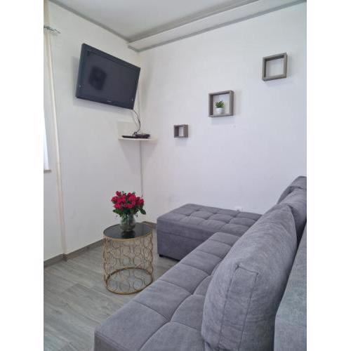 Apartment Raccoon AE1591