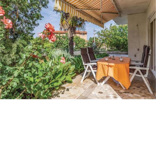 Apartment Regi VI