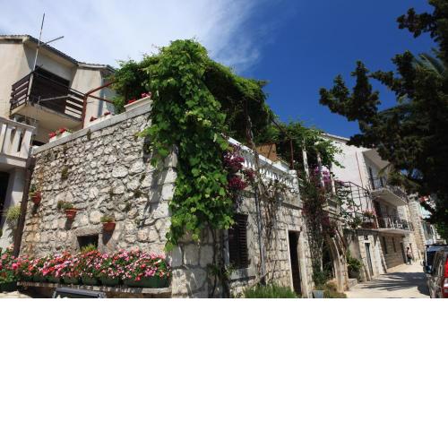 Apartment Renata