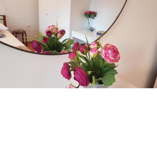 Apartment Romana