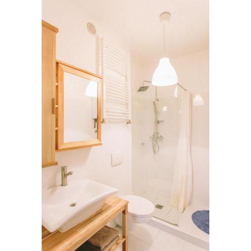 Apartment Savska