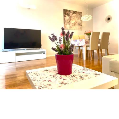 Apartment Spring