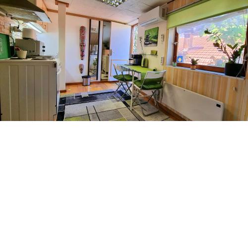 APARTMENT " Studio Green "