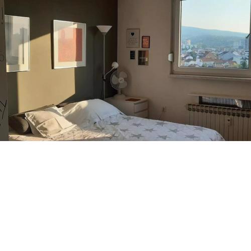 Apartment Tajo - city view