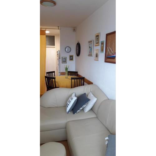 Apartment Twiggy