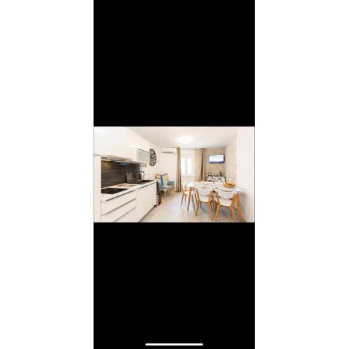 Apartment Vijoleta in City Centre