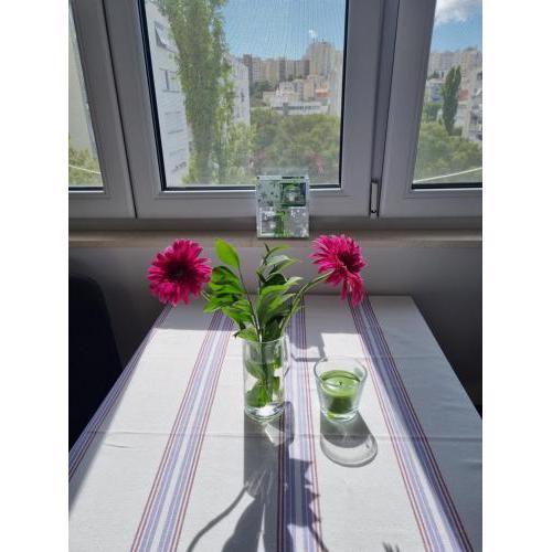 Apartment Vinka