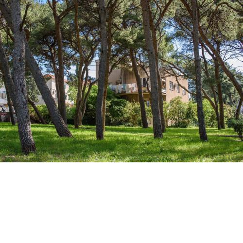Apartments and rooms by the sea Split - 15298