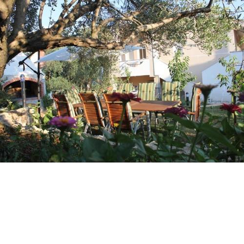Apartments Ante - 50m from the sea