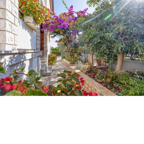 Apartments Azra