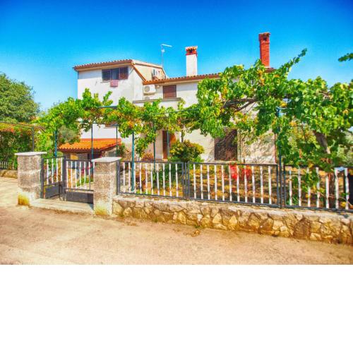 Apartments Bruno 157